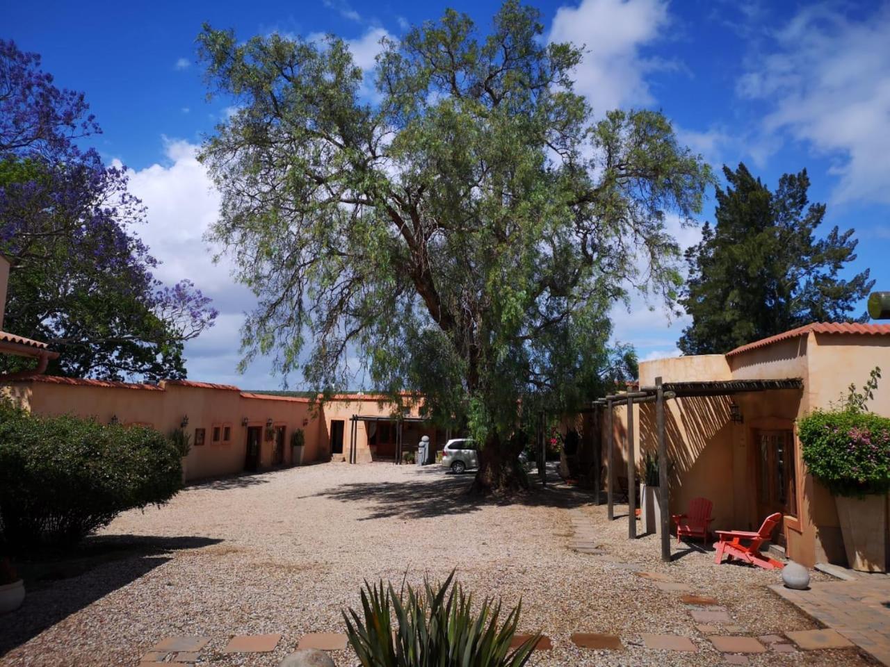 Casa Mia Health Spa And Guesthouse Addo Zewnętrze zdjęcie